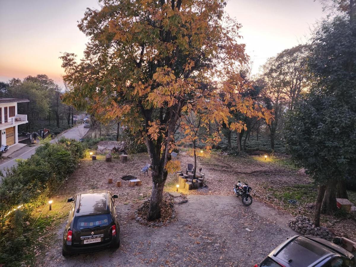 The Birdhouse Villa Dış mekan fotoğraf