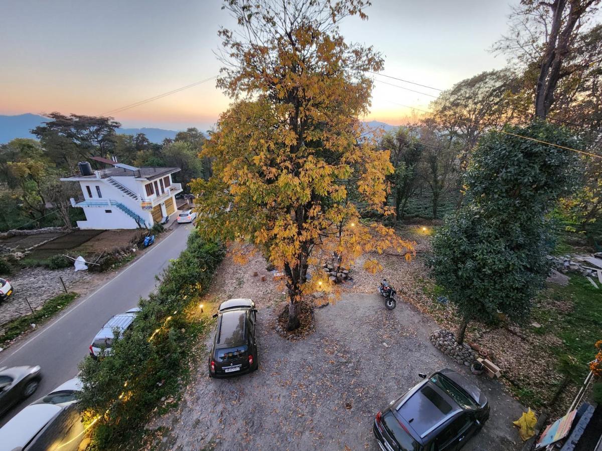 The Birdhouse Villa Dış mekan fotoğraf